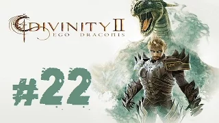 Прохождение Divinity II: Ego Draconis - Часть 22 (Моя башня)