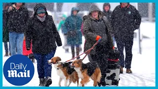 Extreme weather: Snowstorms to hit UK after coldest night of the year