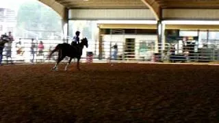 first short stirrup