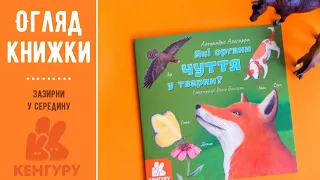 Які органи чуття у тварин. Дізнавайся про світ разом із нами! Огляд книжки