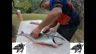 How I fillet and cook Australian Salmon #howto #cooking #salmon #fishcakes #fishingtips  #fishing