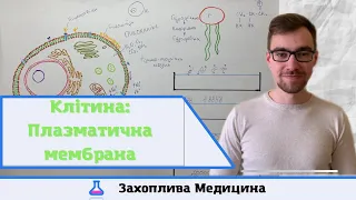 Будова клітини: Плазматична мембрана