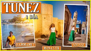 Túnez. Qué ver, Qué visitar en Hammamet / Sousse  / Monastir / Guía / Tour