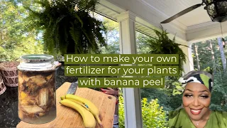 How to keep your plants, healthy and green