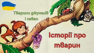 Тварини джунглів і саван. Історії про тварин. Частина - 4. Аудіоказки українською.