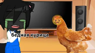 реакция Симбочки на "один день из моей жизни"