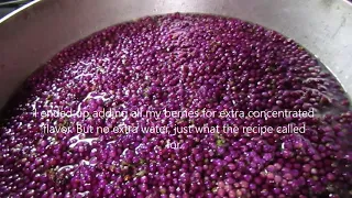 Beautyberry Harvest & Learning how to make Jelly/Syrup!
