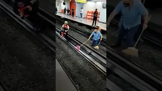 Chicken on the loose shuts down Mexico City subway line