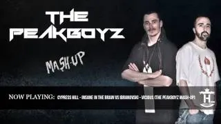 CYPRESS HILL - INSANE IN THE BRAIN VS IBRANOVSKI - VICIOUS (THE PEAKBOYZ MASH-UP)