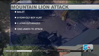 DNA results provide positive ID in mountain lion attack on 8-year-old boy