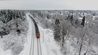 Лобненский лес