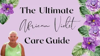 The Ultimate African Violet Care Guide