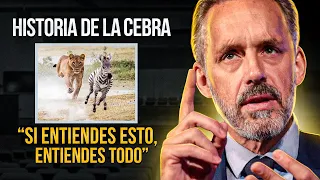 "SI ENTIENDES ESTO, ENTIENDES TODO" Historia de la Cebra que Hará que REFLEXIONES! - Jordan Peterson