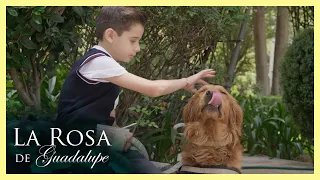 Mateo conoce a su compañero de apoyo emocional | La rosa de Guadalupe 3/4 | Mateo y Sebastián