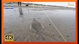 BOT VISSEN VANAF HET NOORDZEESTRAND.