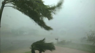 Anita Campbell, Small Business Trends, Shares Terrifying Video of Hurricane Irma, Naples, Florida