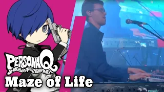 Maze of Life from Persona Q (Brazil Game Show 2019)