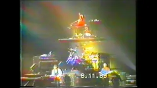 Paul McCartney - Live in Rotterdam (November 8th, 1989) - Audience Video