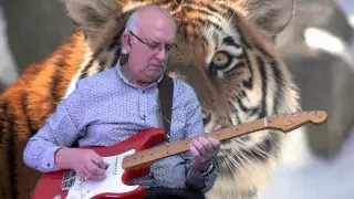 Eye of the tiger - The Shadows - cover by Dave Monk