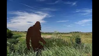 Bigfoot Sighting Near Provo Utah Airport! Mother, daughter driving to airport & daughter is filming.