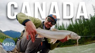 96 HOURS NORTH: Chasing Elusive Bull Trout in Canada (pt. 1)