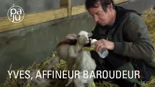 Éleveur de brebis atypique, Yves fabrique des fromages bio à l’arôme de ses montagnes