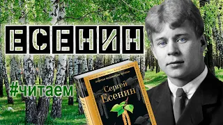 #Читаем Есенина. "Грубым дается радость", "Песнь о собаке"