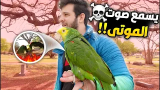 اخذت ببغائي للمقبرة وصدمتنا ردة فعله #سبحان الله