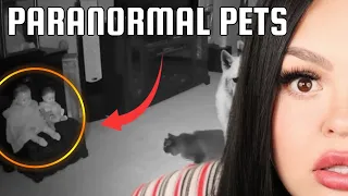 GHOST PETS CAUGHT ON CAMERA