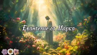 Кто же Сей,что и ветер и море повинуются Ему