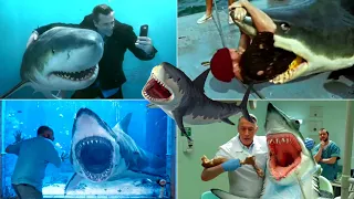 Funniest Shark Commercials of All Time! Funny Shark Ads EVER!