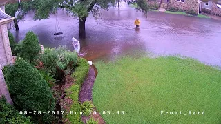Hurricane Harvey Flood - Houston TX (Meyerland Neighborhood), August 27 2017 - Front Yard Time Lapse