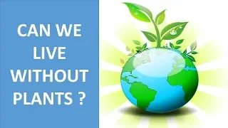 IMPORTANCE OF PLANTS IN OUR LIFE || USES OF PLANTS || CAN WE LIVE WITHOUT PLANTS? || SCIENCE VIDEO