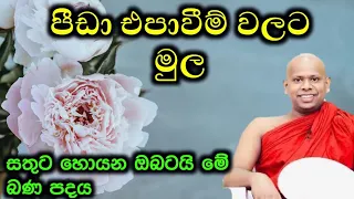 සතුට හොයන ඔබට ලස්සන බණ කතාවක්... | පූජ්‍ය වැලිමඩ සද්ධාසීල ස්වාමීන් වහන්සේ - welimada saddhaseela