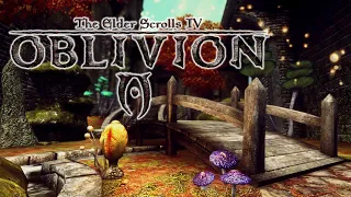 The Elder Scrolls IV: Oblivion - The Shivering Isles | City of Bliss, Mania (Fantasy Ambience)