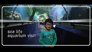 A visit to the Sea Life Aquarium