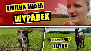 Emilka miała wypadek!