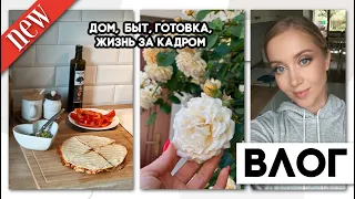 ВЛОГ: ЧУТЬ НЕ РАЗВЕЛИСЬ ИЗ-ЗА ПОКУПКИ МУЖА🤣ДОМ, БЫТ, РОЗЫ, ГОТОВКА, ПРИВИВКИ, МАМСКИЕ БУДНИ