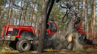HOLZFÄLLER EXTREM Komatsu 931xc Harvester am Limit im Kampf gegen den Borkenkäfer I Waldsterben 2021