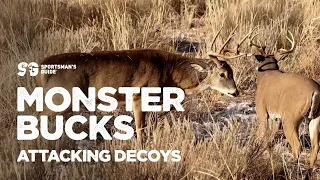 Monster Bucks Attacking Decoys | Monster Bucks Moments presented by Sportsman's Guide
