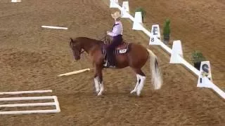 2016 Cowboy Dressage World Finals