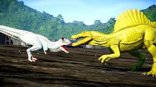 SPECIAL FIGHTING Yellow Spinosaurus vs Carnotaurus vs indoraptor, Giganotosaurus Jurassic world EV1