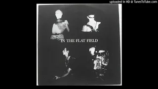 Bauhaus - In the Flat Field [Live] [HD]