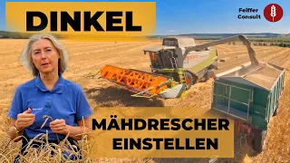 Dinkel Teil 3:  Wie wird der Mähdrescher optimal eingestellt?