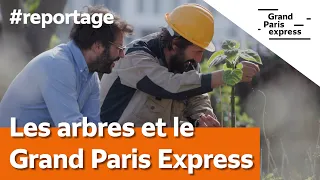 Tout ce que vous avez toujours voulu savoir sur... Les arbres et le Grand Paris Express