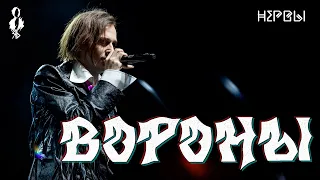 Ярослав Баярунас - Вороны (cover «Нервы»)