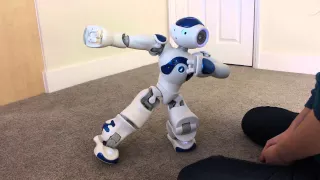 Nao Robot Falling Over and Getting Up