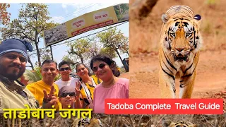 Tadoba Jungle Safari | Tadoba Andhari Tiger Reserve | Tadoba | ताडोबा सफारी | Tadoba National park