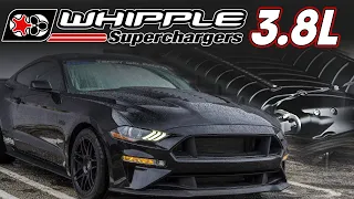 3.8L WHIPPLE SUPERCHARGED Mustang Puts Down 1300hp!! | PLUS Whipple 2020 GT500 News!