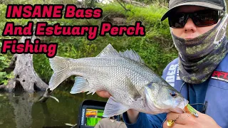 INSANE Bass And Estuary Perch Fishing